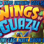 WINGS OF GUANZU: HOKI DAN MAXWIN DATANG BERSAMA